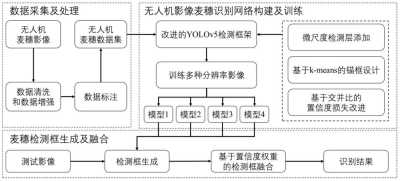 基于深度学习的图像识别技术研究与应用