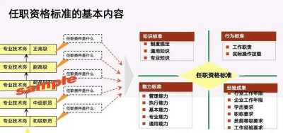 关于提升工作效率和优化团队协作机制的工作报告