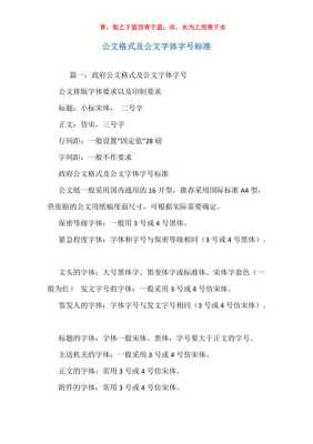 公文发文字号格式的重要性与应用