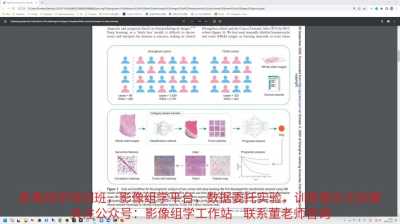 基于深度学习的图像识别技术在医疗影像诊断中的应用研究