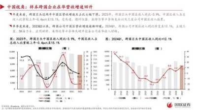 2024年AI数据分析领域，创新、挑战与机遇并存的全景透视