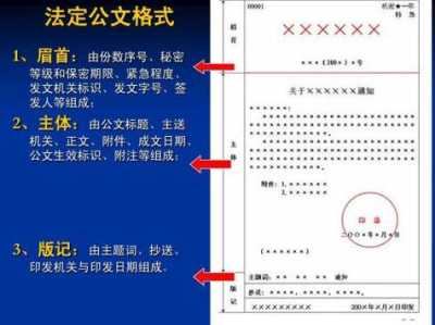 提升组织效能，公文写作中语言表达的重要性与实践策略