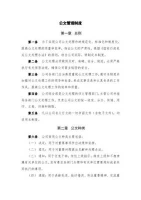 关于加强命令公文管理与执行力度的若干规定，确保行政效率与法规遵循