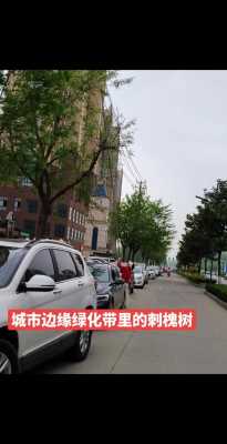 关于加强城市绿化管理提升城市生态环境质量的提案