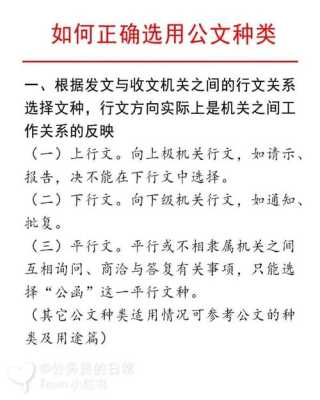 公文种类的全面解读与应用分析