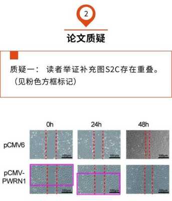 浙江财经大学毕业论文系统的优化研究